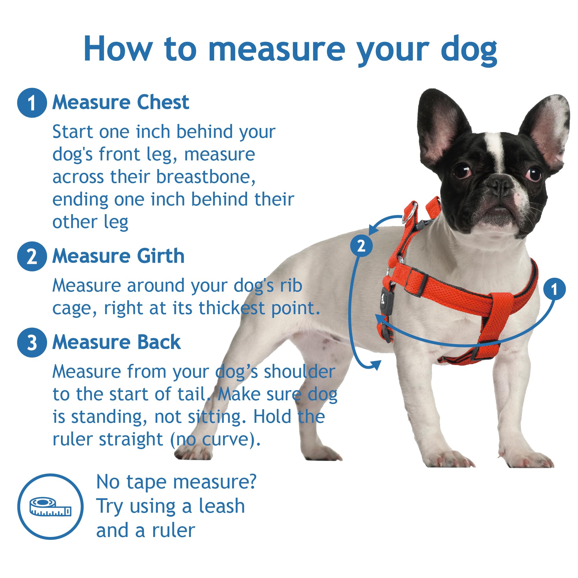 Kruz Original Heavy-Duty No Pull Dog Harness - Ultra Comfort, Lifetime Durability, Pet Harness For Small And Medium Dog Breeds (